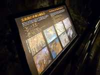 Memories with Okinawa made here - Gyokusendo Cave