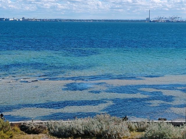 Point Ormond Lookout：墨尔本绝美日落与城市天际线观景台