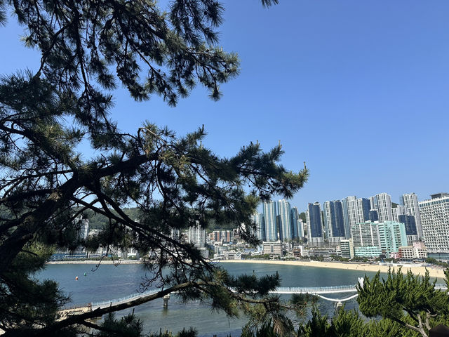 韓國🇰🇷 - 釜山松島海上纜車🚠