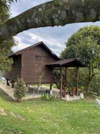 🌲 Weekend Escape: Wood Story Retreat, Titi (Negeri Sembilan)