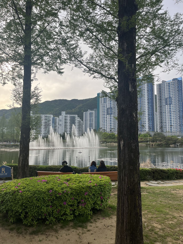 도심속 힐링 산책 명소 김해여행 김해연지공원 