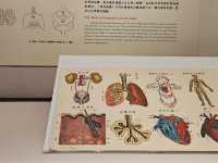 翻閱古籍，窺見身體奧秘──故宮〔身體展演〕醫書特展
