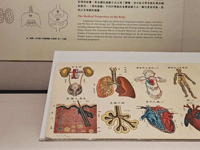 翻閱古籍，窺見身體奧秘──故宮〔身體展演〕醫書特展