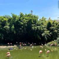 VinWonders Nha Trang