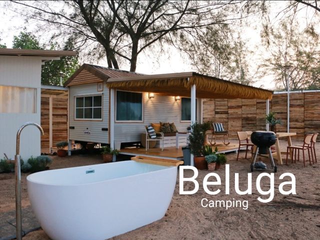Beluga Camping🏖️