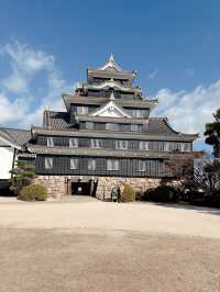 遊岡山城🏯飽覽市景🤩！ 