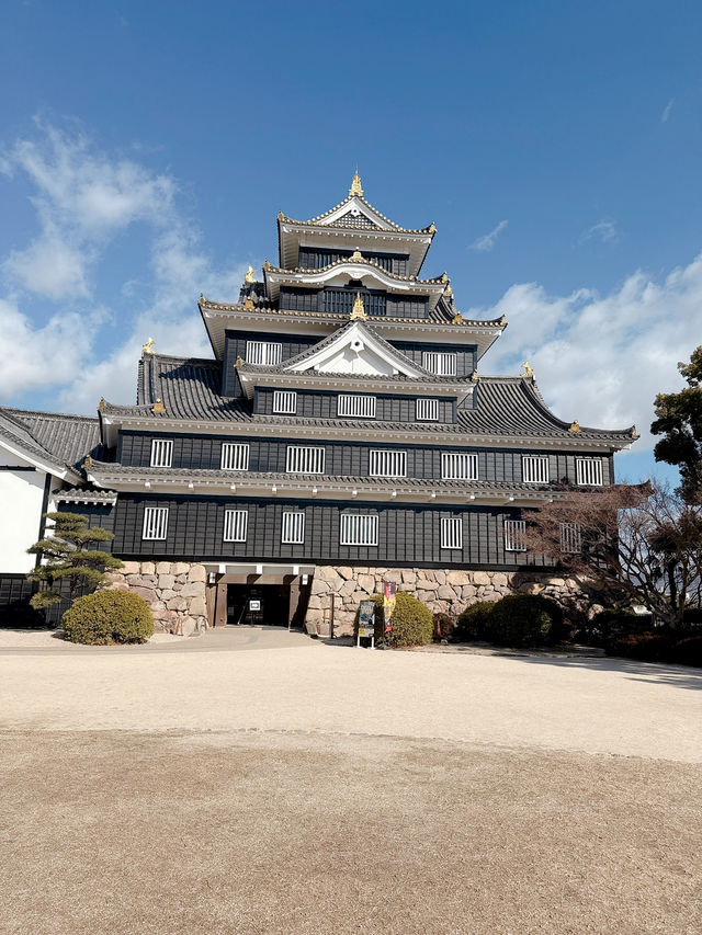 遊岡山城🏯飽覽市景🤩！ 