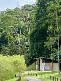 UNESCO Views from Above: Forest Skywalk at FRIM Takes You to New Heights!