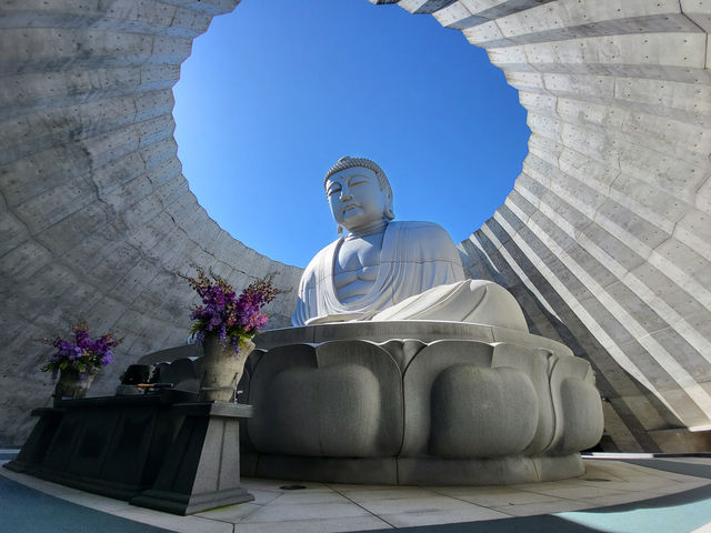 北海道真駒內靈園：薰衣草環繞的巨佛之境