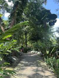 Oasis Garden: Sunday Blooming Like My Excuses