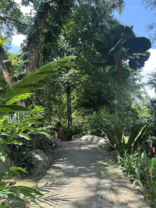 Oasis Garden: Sunday Blooming Like My Excuses