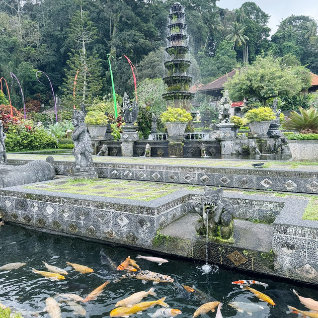Royal Reflections: The Tranquil Beauty of Tirta Gangga 🇮🇩