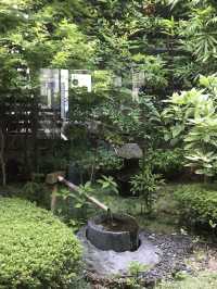 【鎌倉　小町通り、御成通りで北欧と和の折衷】