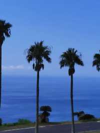 【宮崎】南国絶景を満喫🌴日南海岸ドライブで癒しの旅🚗