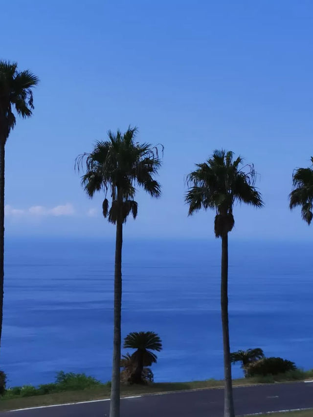 【宮崎】南国絶景を満喫🌴日南海岸ドライブで癒しの旅🚗