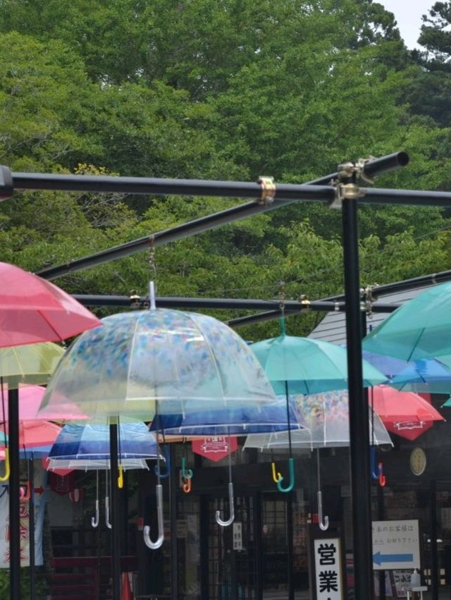 教えて！浴衣で行きたいお出かけ先👘🌸