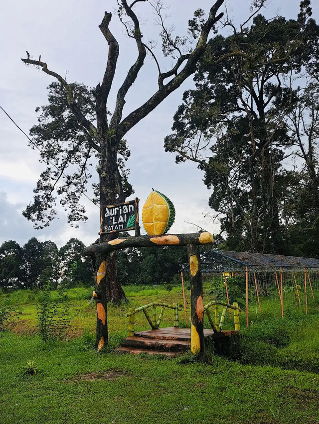 Durian, Deer, and Daylight, Only at Citra Kebun Wisata