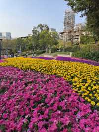 【深圳週末輕旅行提案】點心、海鮮、海景一次滿足！蛇口慢活一日遊