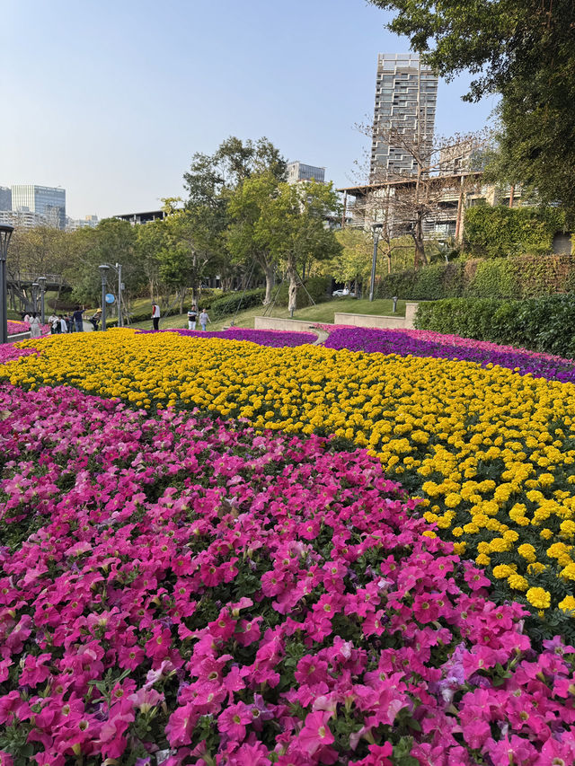 【深圳週末輕旅行提案】點心、海鮮、海景一次滿足！蛇口慢活一日遊