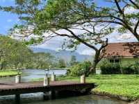 Nature Moments at Villa Escudero