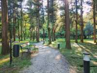 Wandering Zugdidi Botanical Garden