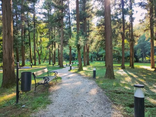 Wandering Zugdidi Botanical Garden