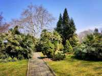 Leaf It All Behind at Batumi Botanical Garden