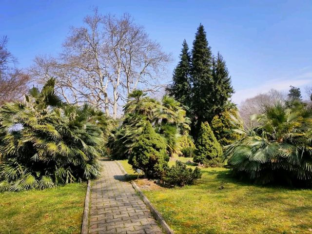 Leaf It All Behind at Batumi Botanical Garden