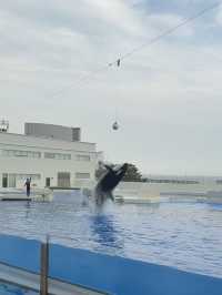 初の兵庫1人旅