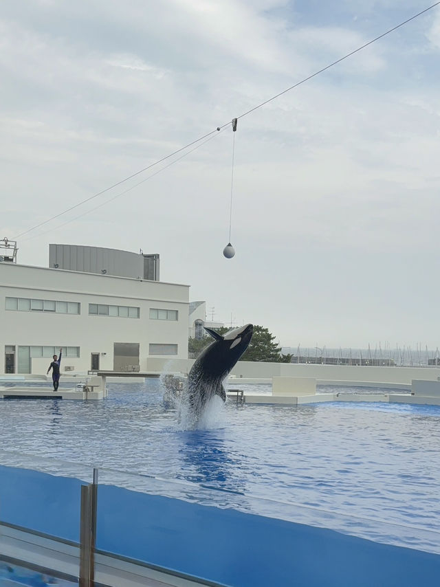 初の兵庫1人旅