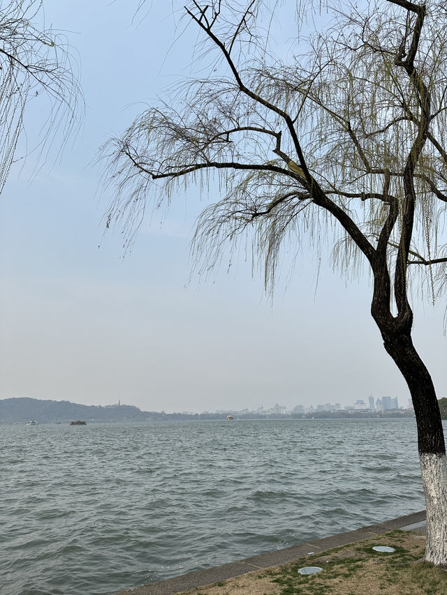 Hangzhou Citywalk Guide 🌷🍵✨