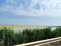 Yuncheng Wetland Park