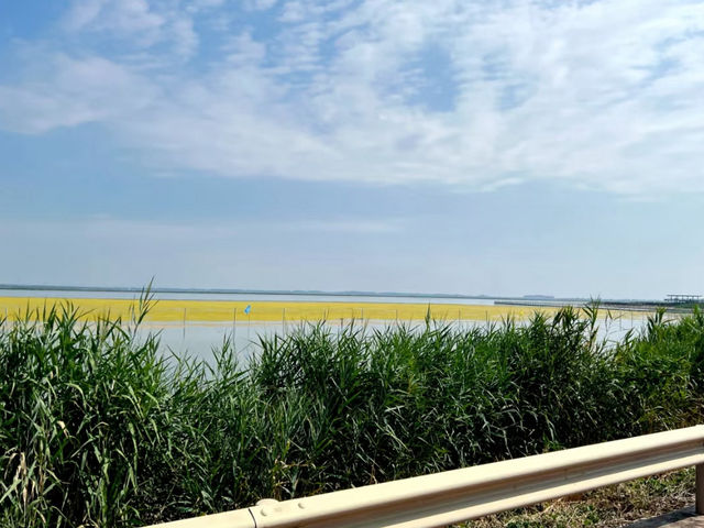 Yuncheng Wetland Park