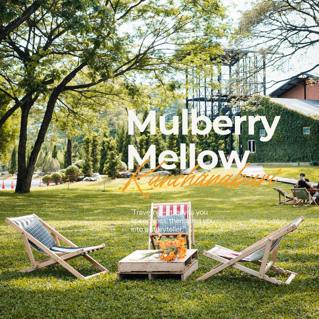 🌿 Mulberry Mellow – คาเฟ่กลางสวนมัลเบอร์รี่ในฝัน