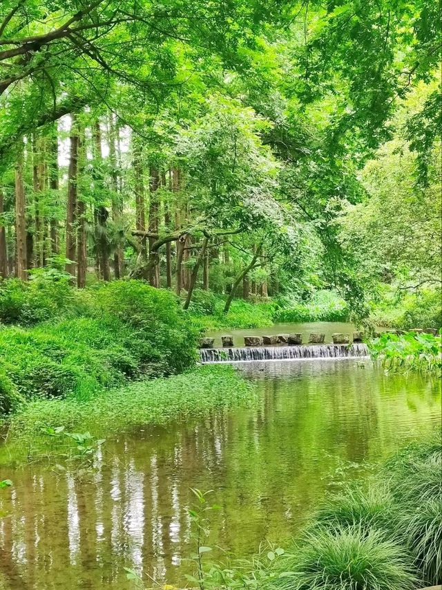 West Lake’s Hidden Waterworlds