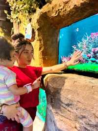 KL's Oceanic Marvel: Aquaria KLCC