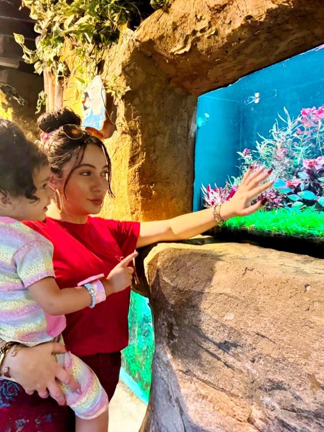 KL's Oceanic Marvel: Aquaria KLCC