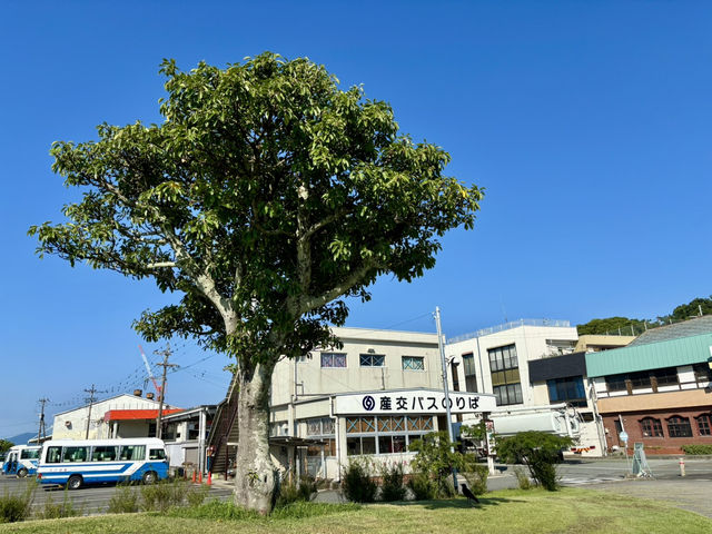 三角交通中樞：巴士車站