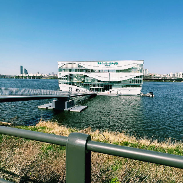 Floating Coffee & City Views – Our Starbucks Experience on the Han River