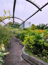 Secret Garden: Stunning Oasis of Beauty and Botanical Wonders