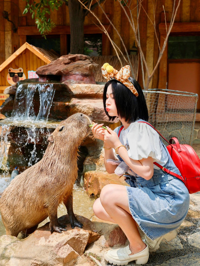 The craziest animal kingdom in China 🦁✨