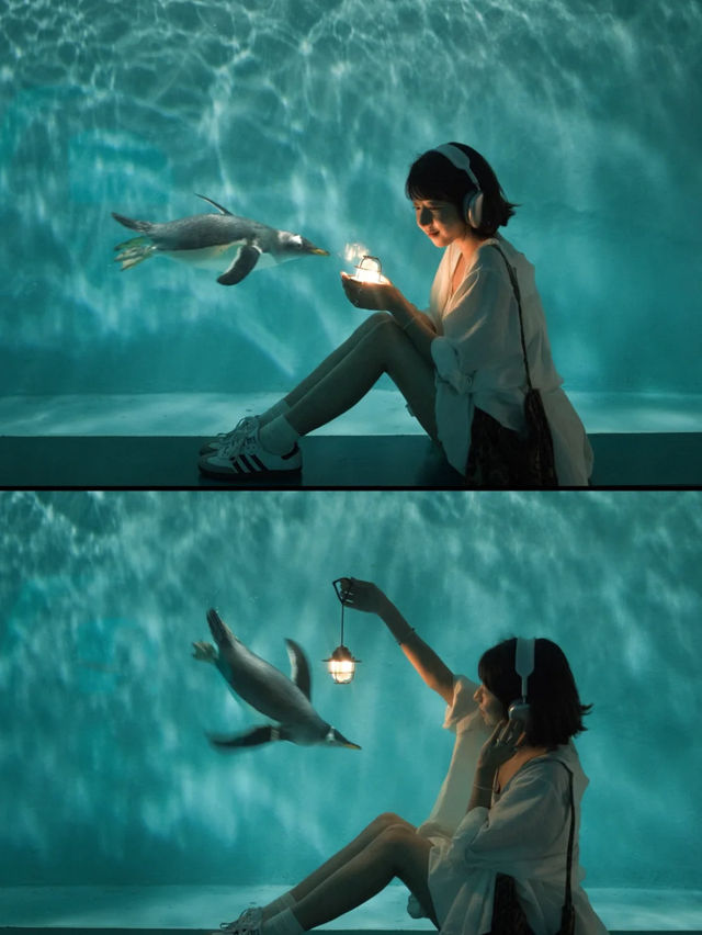 🐧 Harbin Polarland – China’s First Polar Aquarium