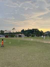 🌴 Taman Mahkota Jubliee Park – Brunei Waterfront Picnic Spot