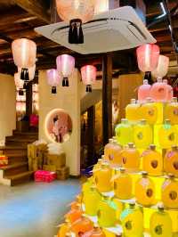 A Living Chronicle of Jiangnan Water Town Charm