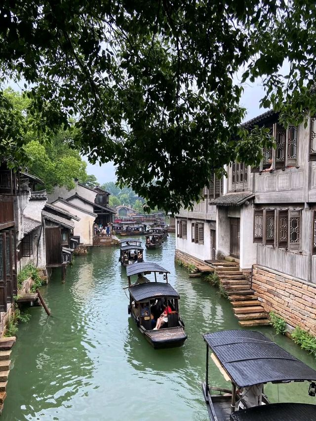 Beyond the Bridges: Discovering Wuzhen