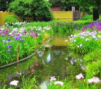 自然樂園—紫式部公園