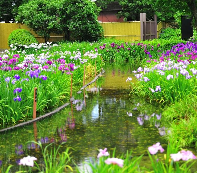 自然樂園—紫式部公園