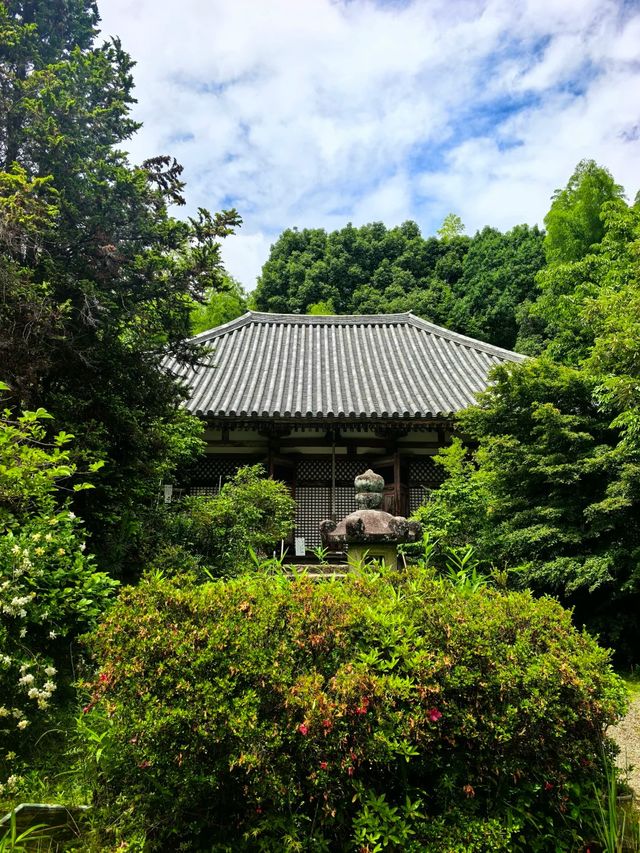古典聖境—本向寺