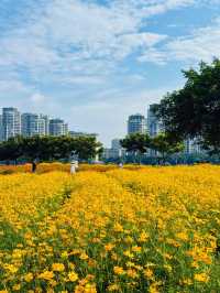 花境詩篇—牛口公園