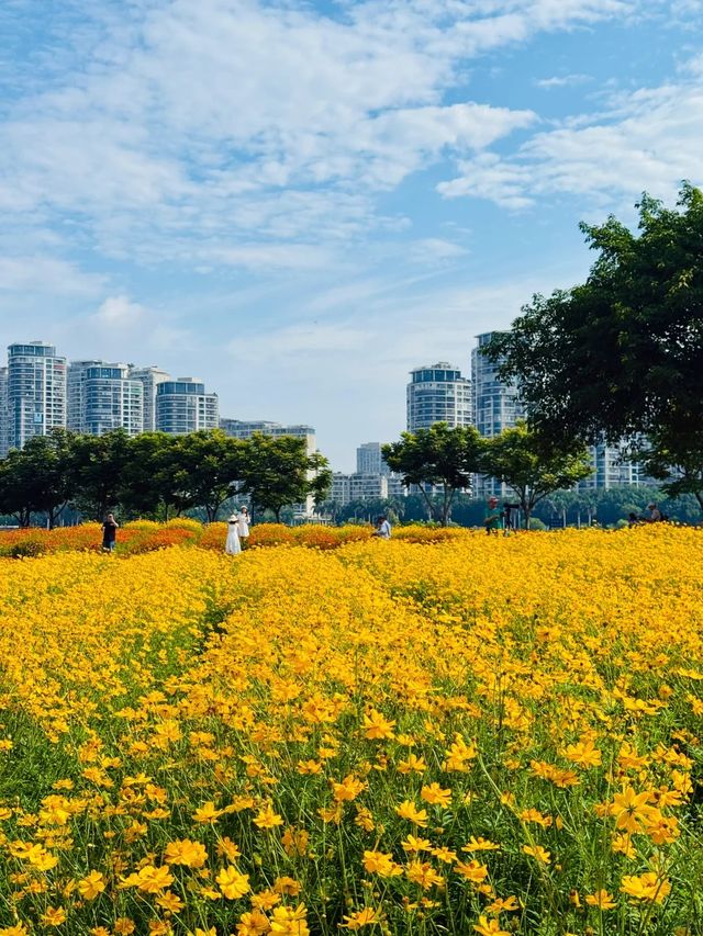 花境詩篇—牛口公園 花境詩篇—牛口公園